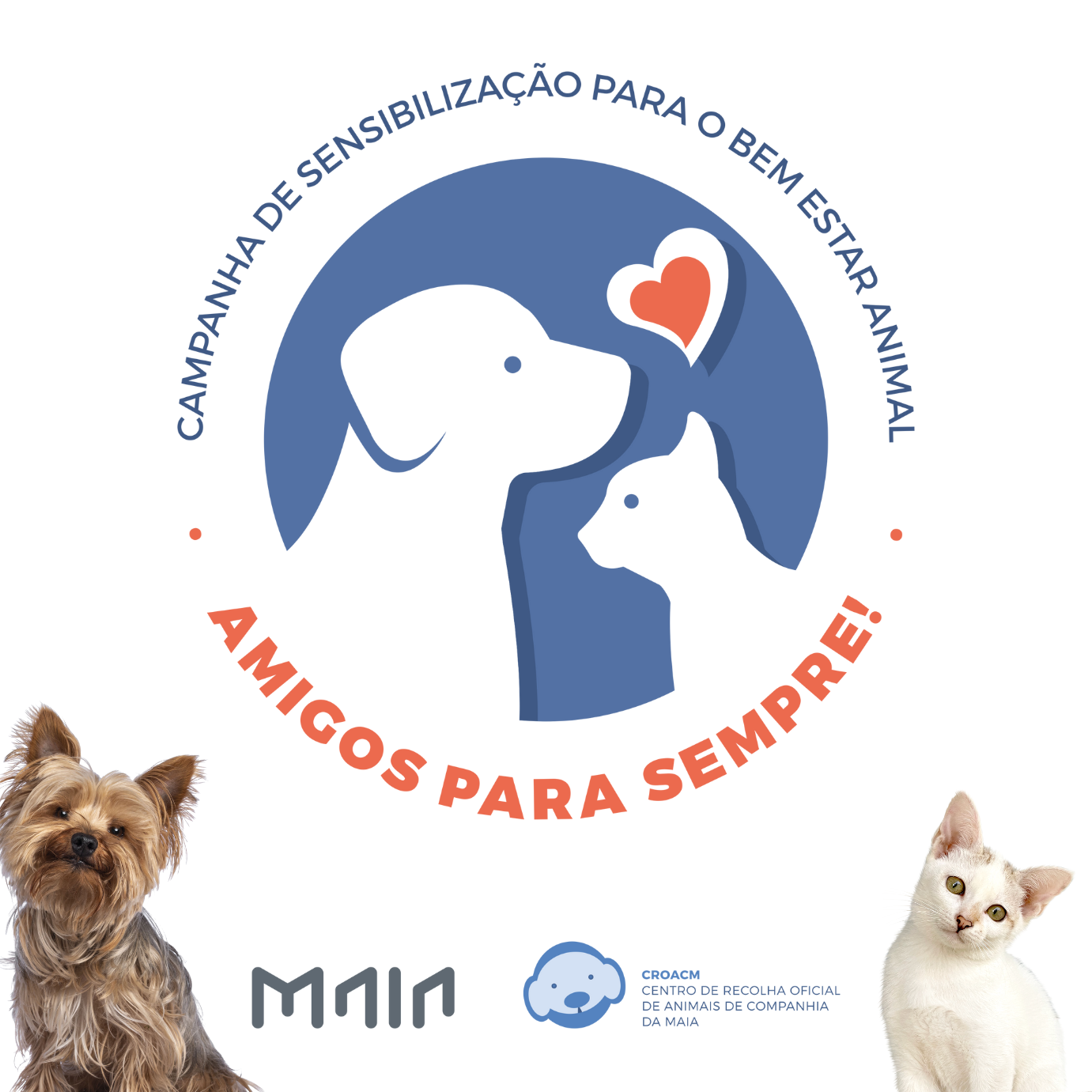 Gravação da Medalha "Campanha de Sensibilização para o Bem Estar Animal" - MAIA