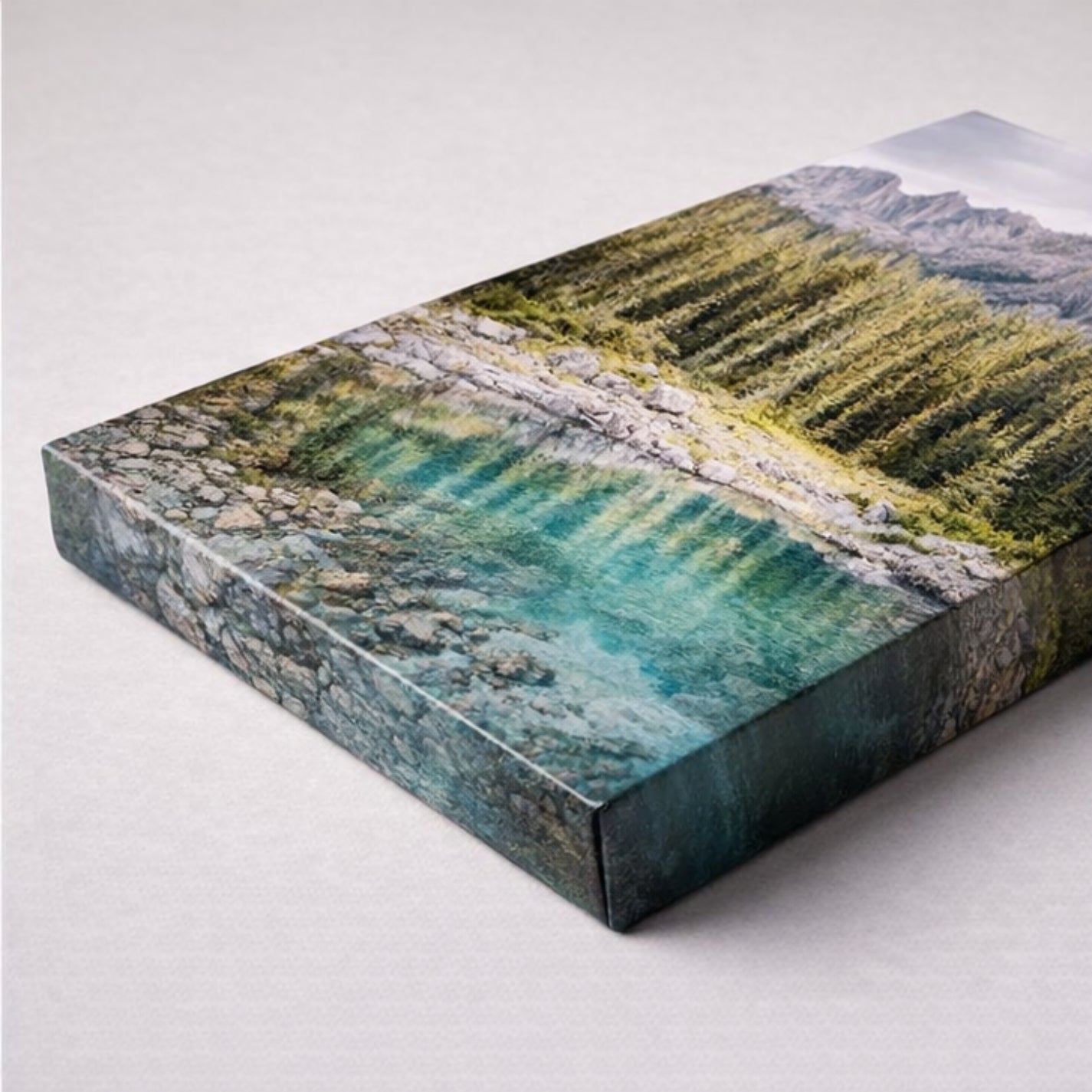 Telas Standard Profissionais