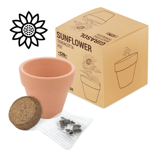 MACETA TERRACOTA SEMILLAS DE GIRASOL