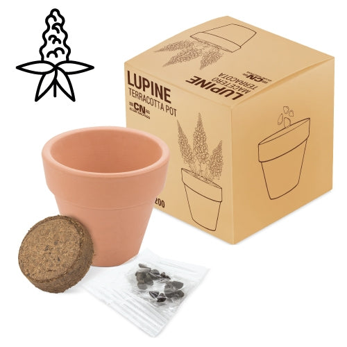 VASO TERRACOTA LUPINE "FLORAL"