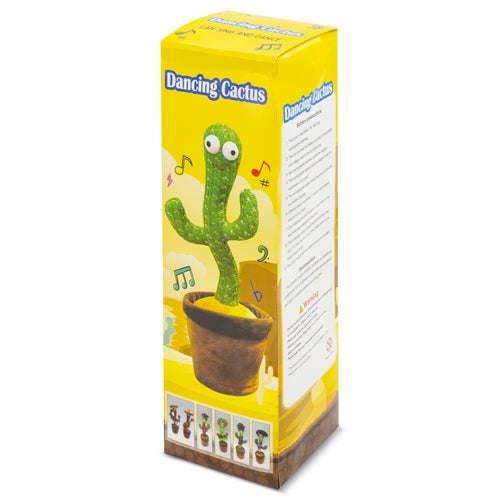 CÁCTUS DANÇARINO "PANCHITO"