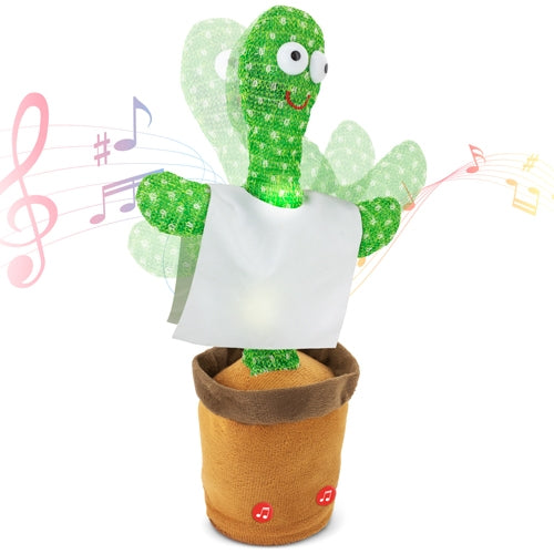 CÁCTUS DANÇARINO "PANCHITO"