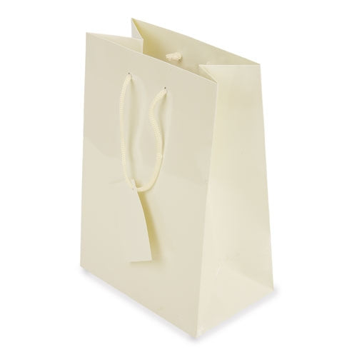 BOLSA PRESENTE PLASTIFICADA