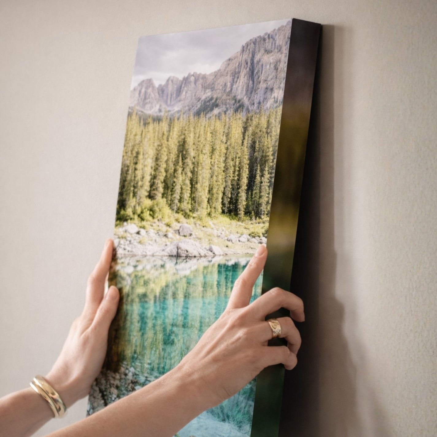 Telas Standard Profissionais